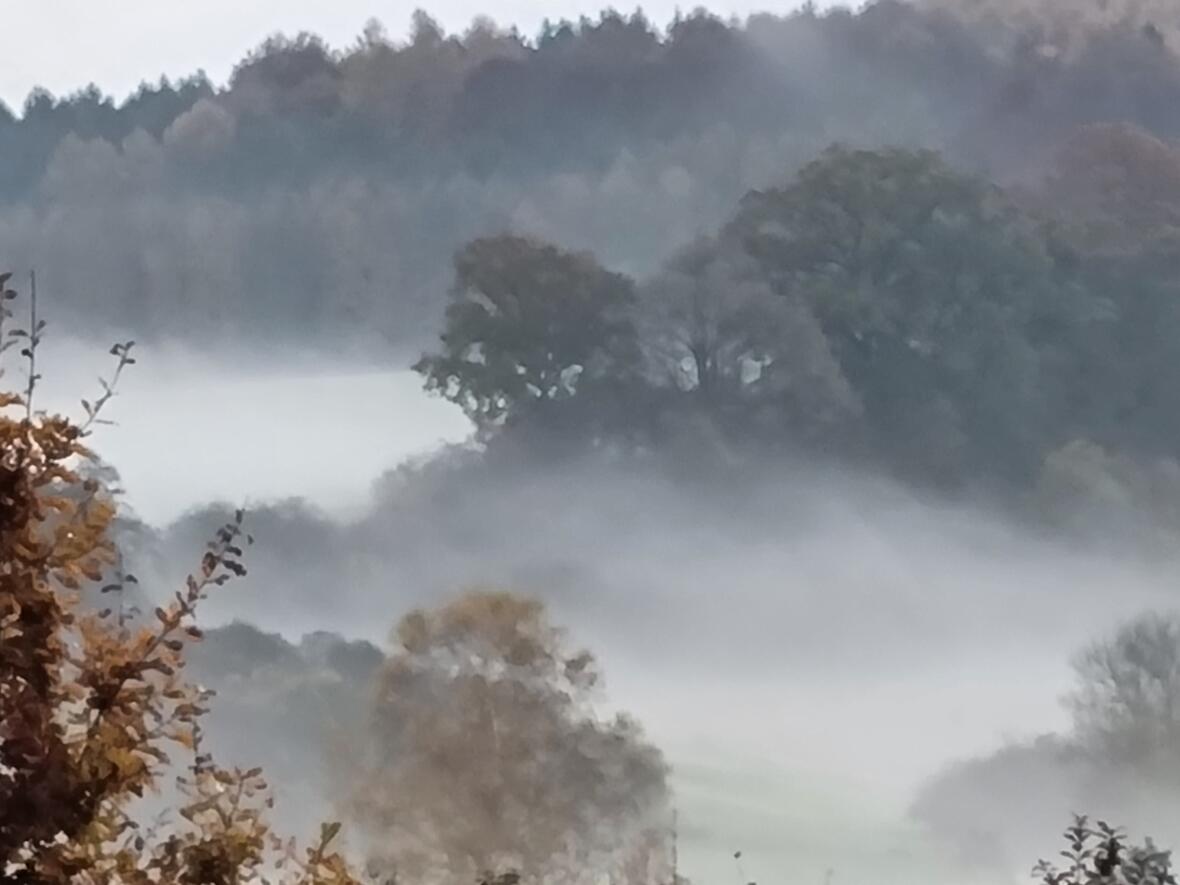 "Im Nebel der Pandemie: Verschwörungsglaube und Esoterik in der Corona-Krise" (Symboldfoto: Klaudia Hartmann)