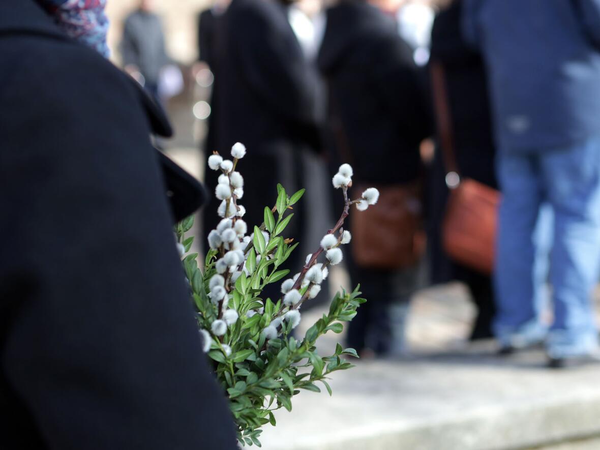 Palmsonntag im Hohen Dom (Fotos: Annette Zoepf / pba)