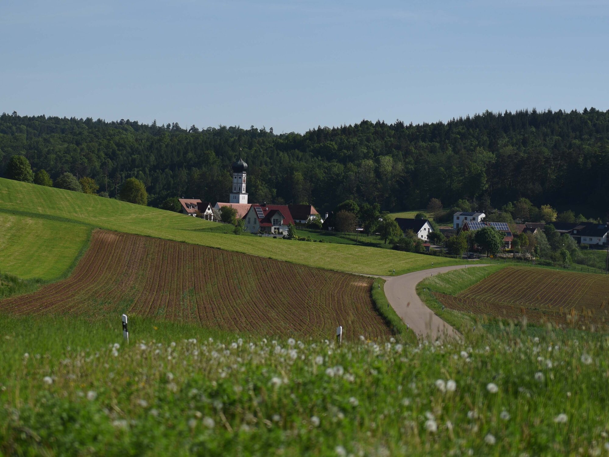Jubiläum Wallfahrtskirche Buggenhofen (Foto Maria Steber_pba) 7