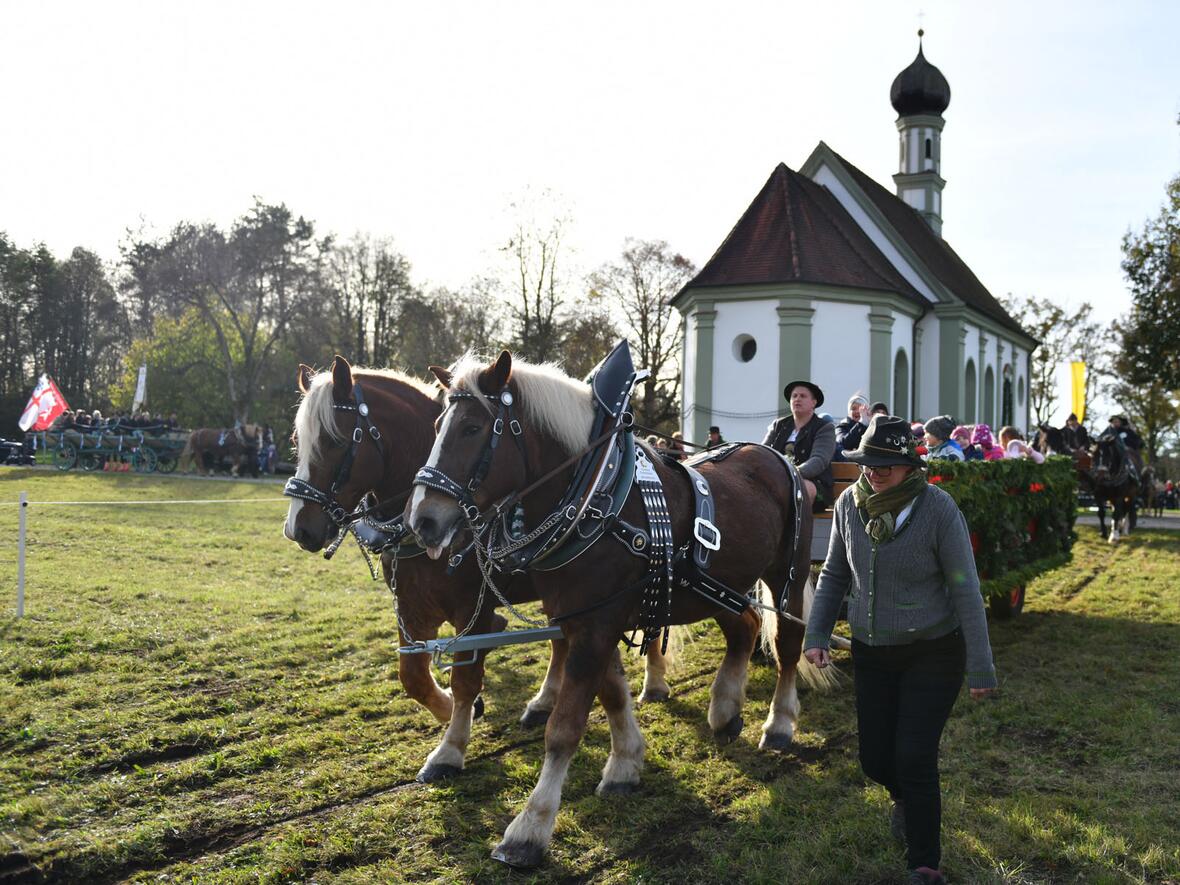 Zahlreiche Pferdewägen nahmen beim Leonhardifest in der Lechraingemeinde Kaufering teil (Fotos: Julian Schmidt / pba)