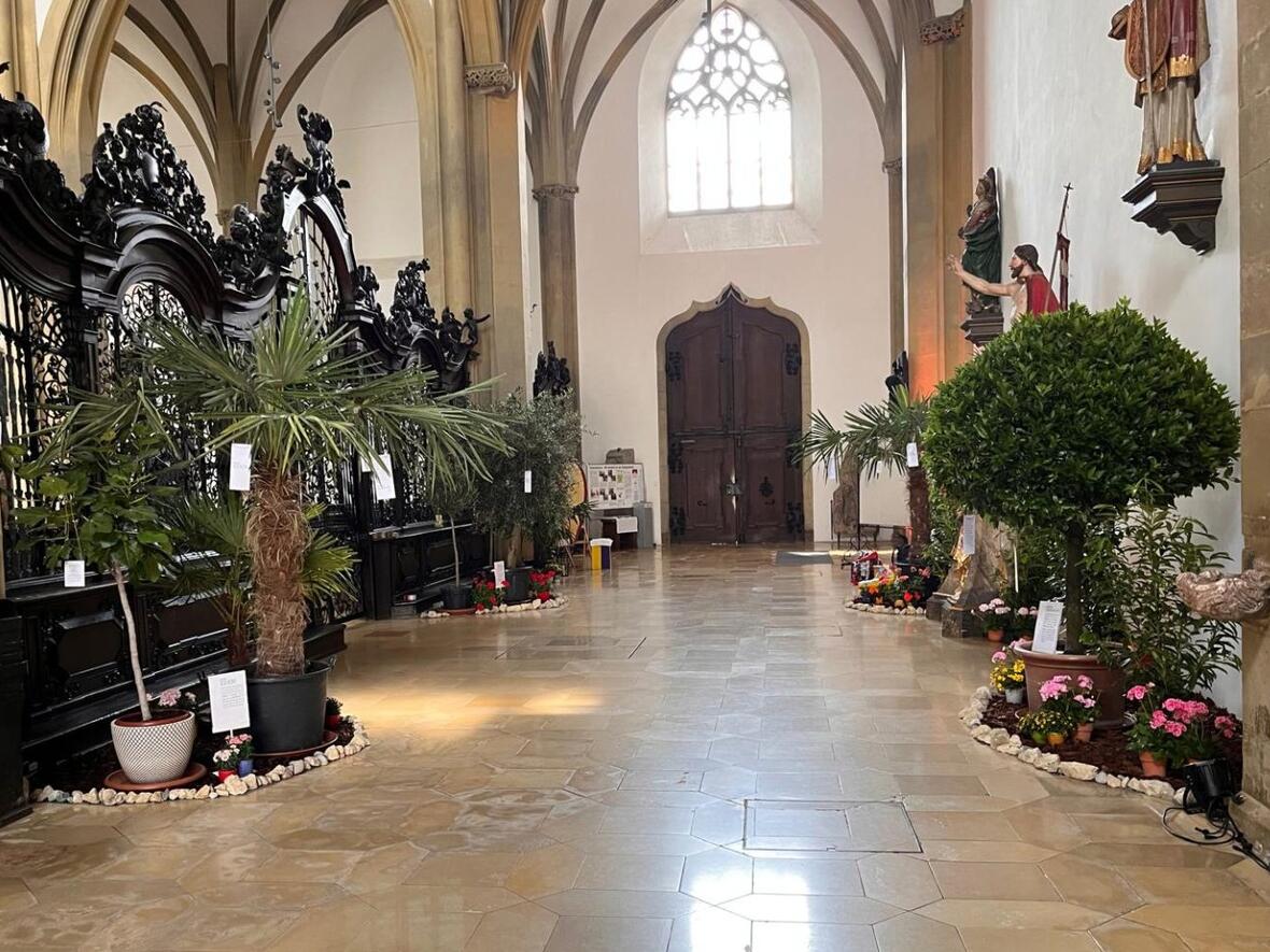 Ein Garten mit biblisch-geistlichen Impulsen erwartet Besucherinnen und Besucher in der Basilika St. Ulrich und Afra. (Foto: Markus Dumberger)
